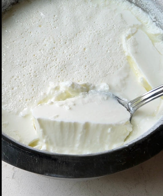 Fresh Dahi