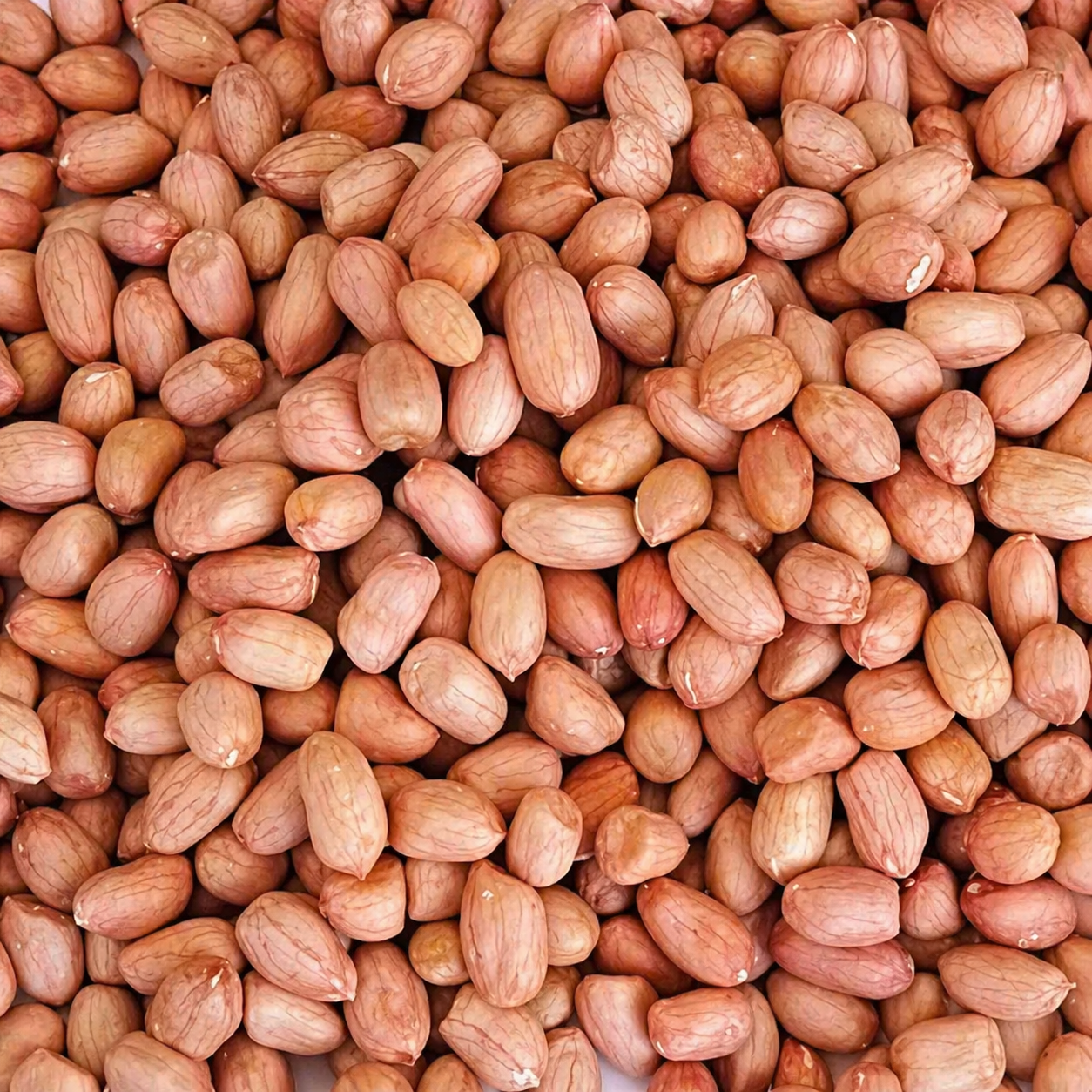 Premium Safed Mungphali – Fresh & Hygienically Packed